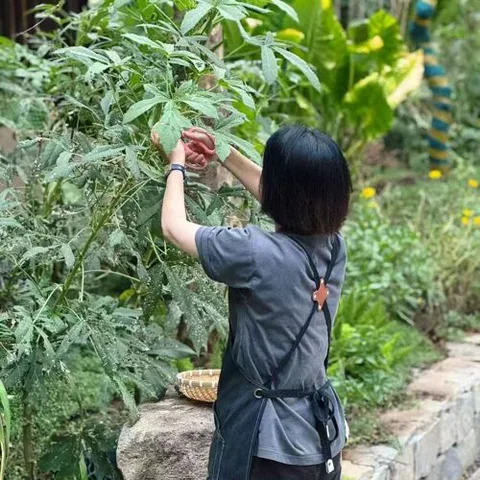 Ye Long Jing