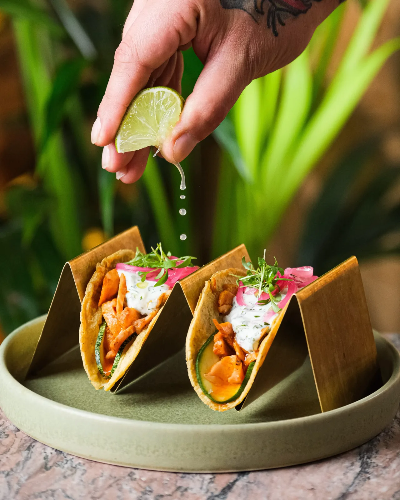 JUAN CANTINA ESPANOLA