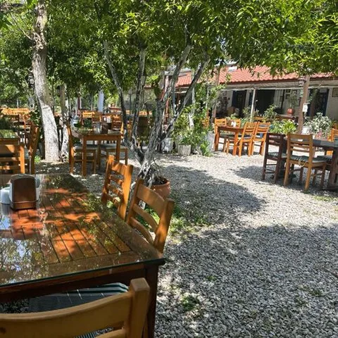 Bağarası