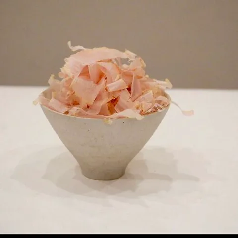 Katsuo Shokudo